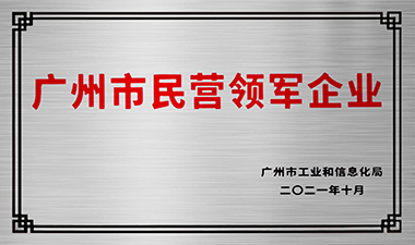 昭通市民营领军企业